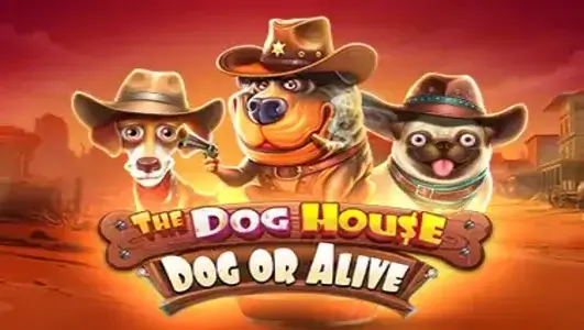 The Dog House Dog or Alive