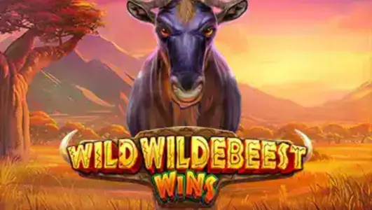 Wild Wildebeest Wins